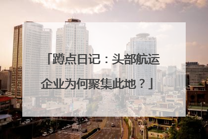蹲点日记：头部航运企业为何聚集此地？