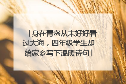 身在青岛从未好好看过大海，四年级学生却给家乡写下温暖诗句