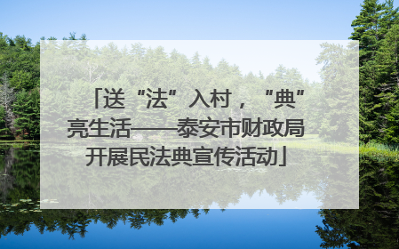 送“法”入村，“典”亮生活——泰安市财政局开展民法典宣传活动
