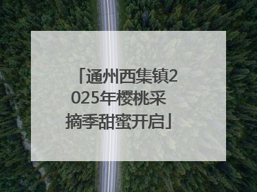 通州西集镇2025年樱桃采摘季甜蜜开启