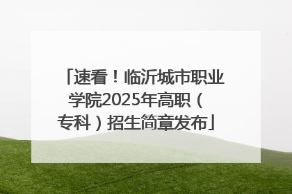 速看！临沂城市职业学院2025年高职（专科）招生简章发布