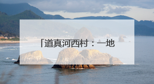 道真河西村：一地双收“新丰景”