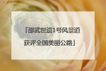 邵武世遗1号风景道获评全国美丽公路