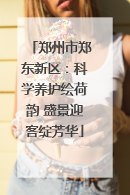 郑州市郑东新区：科学养护绘荷韵 盛景迎客绽芳华