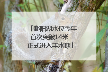 鄱阳湖水位今年首次突破14米 正式进入丰水期