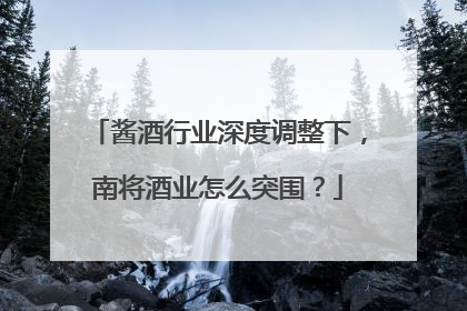 酱酒行业深度调整下，南将酒业怎么突围？