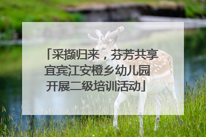 采撷归来，芬芳共享 宜宾江安橙乡幼儿园开展二级培训活动
