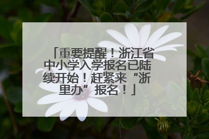 重要提醒！浙江省中小学入学报名已陆续开始！赶紧来“浙里办”报名！