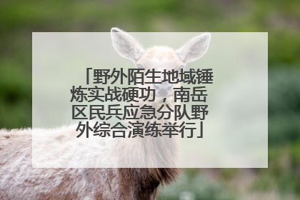 野外陌生地域锤炼实战硬功，南岳区民兵应急分队野外综合演练举行