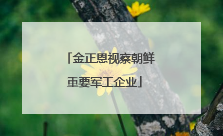 金正恩视察朝鲜重要军工企业