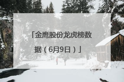 金鹰股份龙虎榜数据（6月9日）