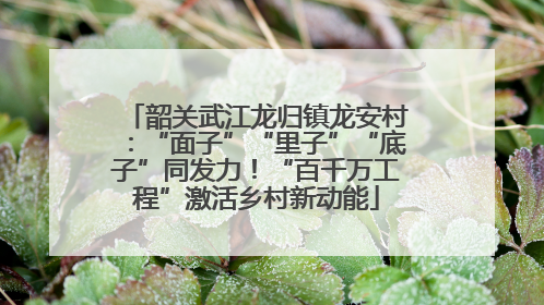 韶关武江龙归镇龙安村：“面子”“里子”“底子”同发力！“百千万工程”激活乡村新动能