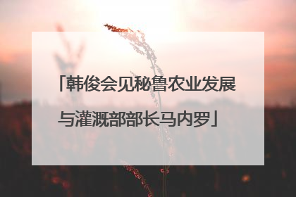 韩俊会见秘鲁农业发展与灌溉部部长马内罗