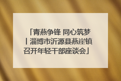 青燕争锋 同心筑梦丨淄博市沂源县燕崖镇召开年轻干部座谈会