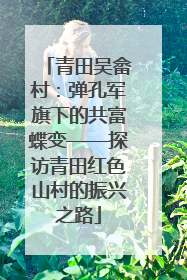 青田吴畲村：弹孔军旗下的共富蝶变——探访青田红色山村的振兴之路