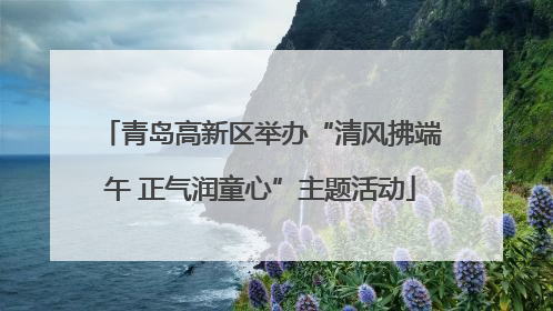 青岛高新区举办“清风拂端午 正气润童心”主题活动