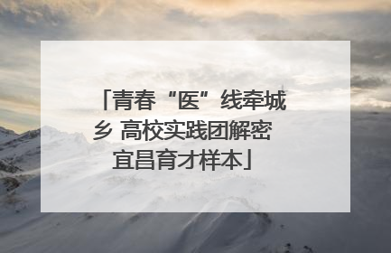 青春“医”线牵城乡 高校实践团解密宜昌育才样本