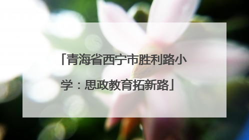 青海省西宁市胜利路小学：思政教育拓新路