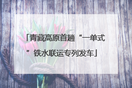 青藏高原首趟“一单式”铁水联运专列发车