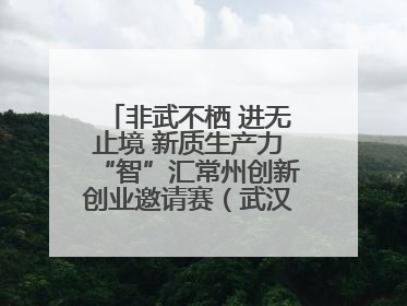 非武不栖 进无止境 新质生产力“智”汇常州创新创业邀请赛（武汉站）圆满举办