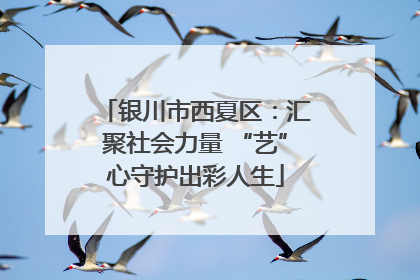 银川市西夏区：汇聚社会力量 “艺”心守护出彩人生