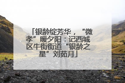 银龄绽芳华，“微孝”暖夕阳：记西城区牛街街道“银龄之星”刘茹月