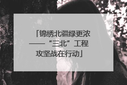 锦绣北疆绿更浓——“三北”工程攻坚战在行动