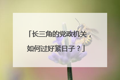 长三角的党政机关，如何过好紧日子？