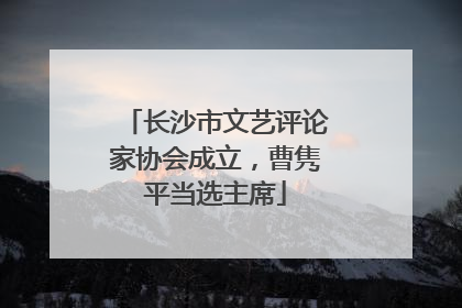 长沙市文艺评论家协会成立，曹隽平当选主席