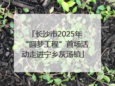 长沙市2025年“圆梦工程”首场活动走进宁乡灰汤镇