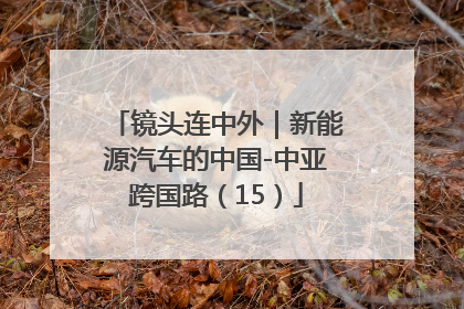 镜头连中外｜新能源汽车的中国-中亚跨国路（15）