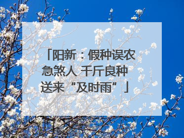 阳新：假种误农急煞人 千斤良种送来“及时雨”