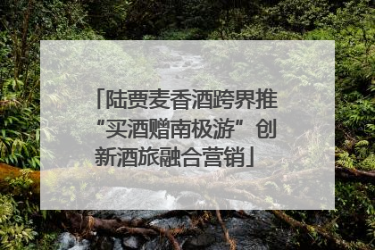 陆贾麦香酒跨界推“买酒赠南极游”创新酒旅融合营销