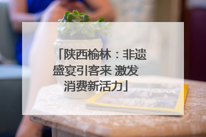 陕西榆林：非遗盛宴引客来 激发消费新活力