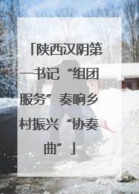 陕西汉阴第一书记“组团服务”奏响乡村振兴“协奏曲”