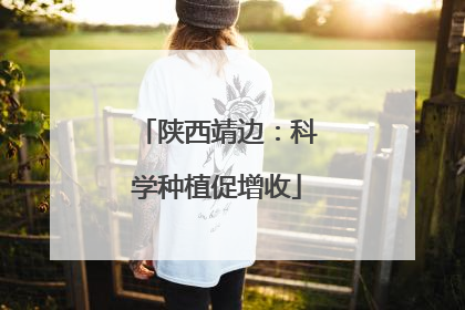 陕西靖边：科学种植促增收
