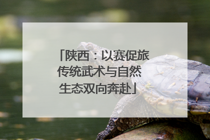 陕西：以赛促旅 传统武术与自然生态双向奔赴