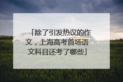 除了引发热议的作文，上海高考首场语文科目还考了哪些