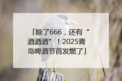 除了666，还有“酒酒酒”！2025青岛啤酒节首发燃了