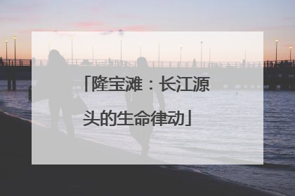 隆宝滩：长江源头的生命律动