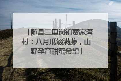 随县三里岗镇贾家湾村：八月瓜缀满藤，山野孕育甜蜜希望
