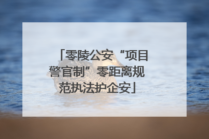 零陵公安“项目警官制”零距离规范执法护企安