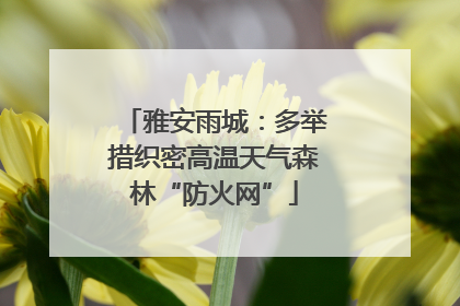 雅安雨城：多举措织密高温天气森林“防火网”