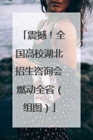 震撼！全国高校湖北招生咨询会燃动全省（组图）