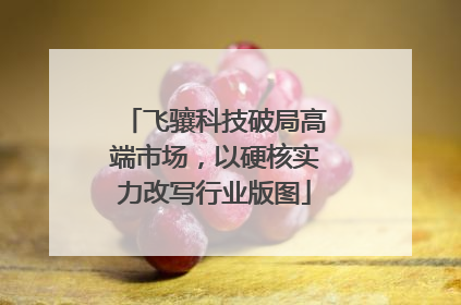 飞骧科技破局高端市场，以硬核实力改写行业版图
