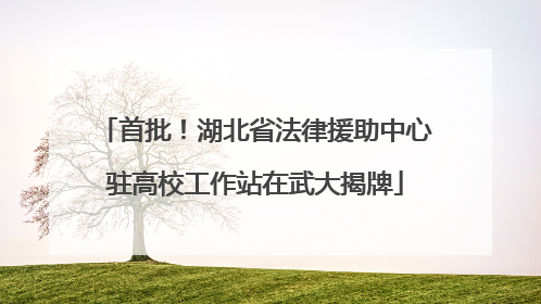 首批！湖北省法律援助中心驻高校工作站在武大揭牌