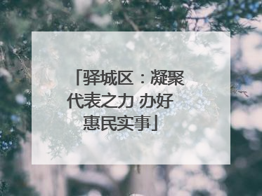 驿城区：凝聚代表之力 办好惠民实事