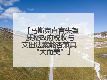 马斯克直言失望 质疑政府税收与支出法案能否兼具“大而美”