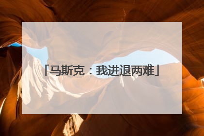 马斯克：我进退两难