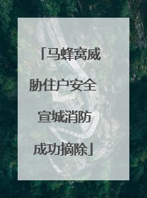 马蜂窝威胁住户安全 宣城消防成功摘除
